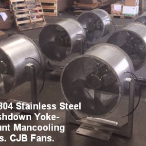 Stainless Steel Wall and Column Mounting Man Cooling Fans